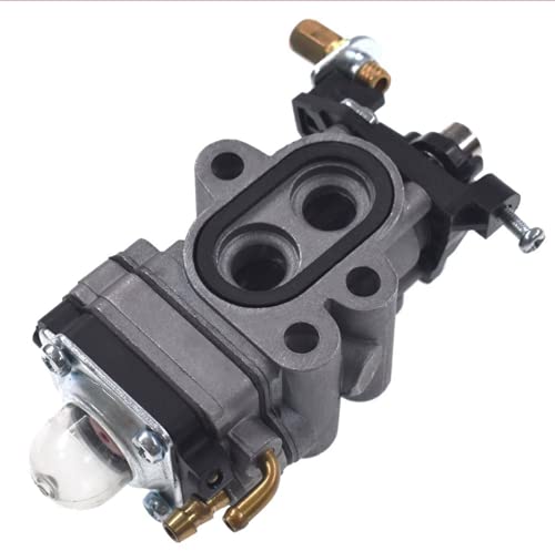 Amazon.com: 502238401 967194302 T151381000 505183101